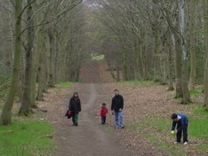 family on nature walk stepfamily