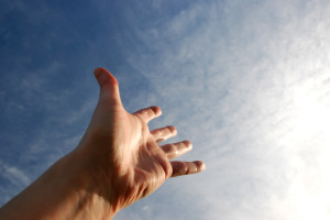 reaching toward the sky